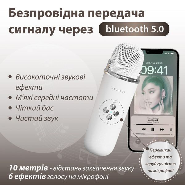 Портативная колонка с микрофоном Platinum C-20 BT/TF/USB/FM с влагозащитой 5 Вт, белый C20W фото
