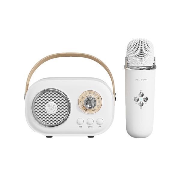 Портативная колонка с микрофоном Platinum C-20 BT/TF/USB/FM с влагозащитой 5 Вт, белый C20W фото