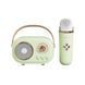 Портативная колонка с микрофоном Platinum C-20 BT/TF/USB/FM с влагозащитой 5 Вт, зеленый C20GR фото