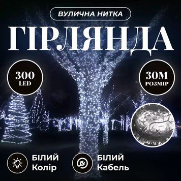 Гірлянда Нитка вулична 300 LED 30 м від мережі білий дріт, білий (Холодний Білий) CF300L30MW фото
