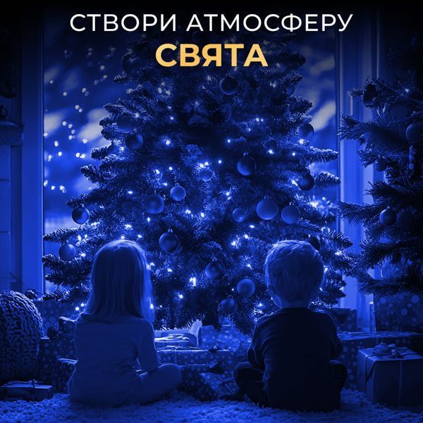 Гірлянда Роса нитка 1000 LED довжина 100 м з пультом від мережі Зелений Дріт, Синій 1000L100MG фото